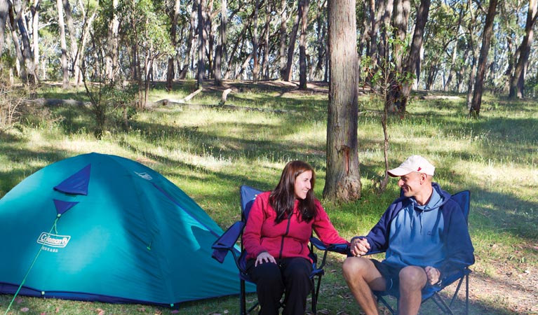Apsley Falls campground - Tourism Brisbane
