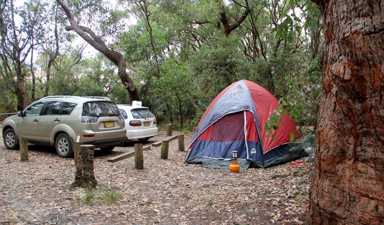 Aragunnu Campground - thumb 1