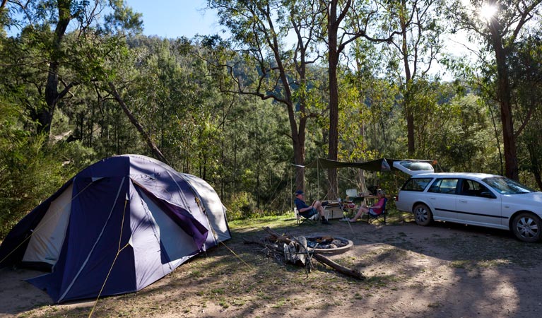 Deua River Campgrounds - Deua - thumb 0