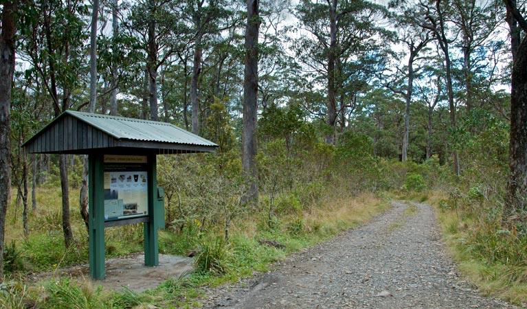 Devils Hole Campground And Picnic Area - thumb 1