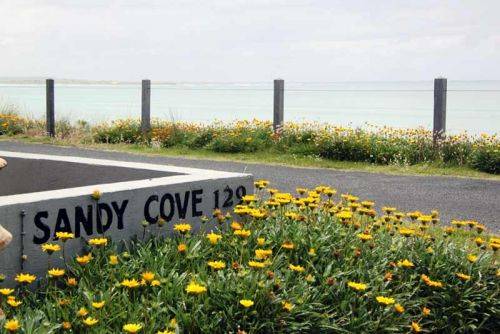 Sandy Cove - thumb 4