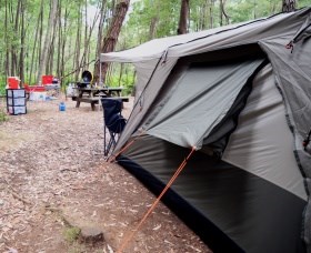 WA Wilderness Catered Camping at Big Brook Arboretum - Accommodation Perth