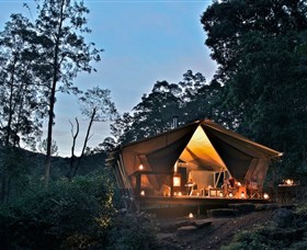Nightfall Wilderness Camp - Accommodation Sydney 0