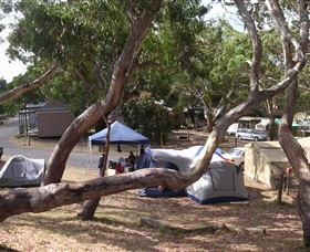 Bimbi Park Camping Under Koalas - Accommodation Mount Tamborine 1