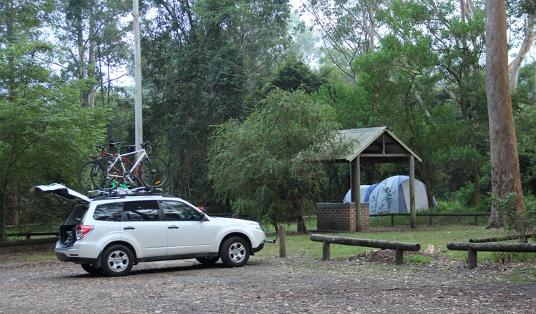 Mill Creek campground - Accommodation Sydney