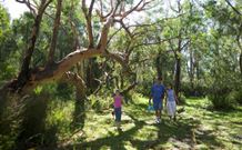 Port Stephens Treescape - thumb 4
