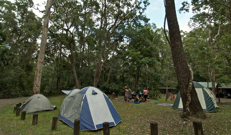 Sheepstation Creek Campground - thumb 2
