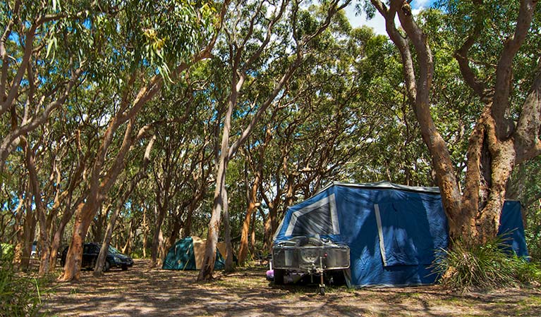 Stewart and Lloyds campground - Surfers Paradise Gold Coast
