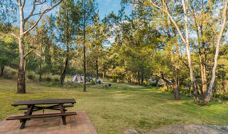 Warrabah Campground And Picnic Area - thumb 1