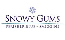 Snowy Gums Chalet - Smiggin Holes - thumb 2