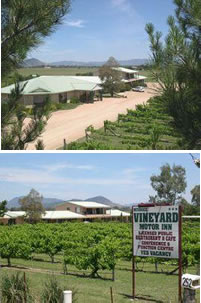 Mudgee Vineyard Motor Inn - Accommodation Australia