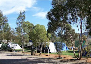 Flinders Ranges Caravan Park - thumb 2