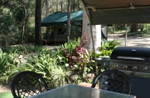 Tamborine Mountain Caravan & Camping - thumb 2