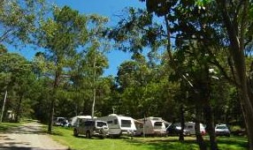 Tamborine Mountain Caravan & Camping - thumb 3