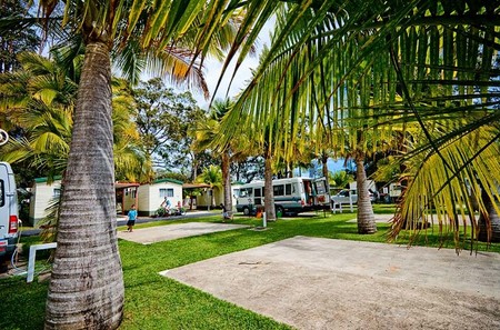 Harbour City Holiday Park - Grafton Accommodation