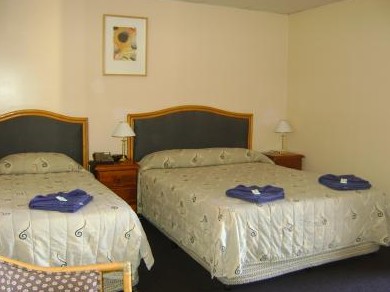 Mudgee Motor Inn - Accommodation Port Hedland