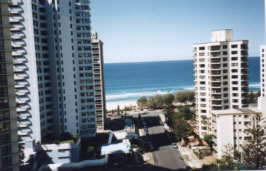 Paradise Towers Apartments - Coogee Beach Accommodation 0