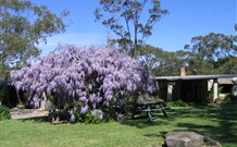 Studio Cottages - Accommodation Redcliffe
