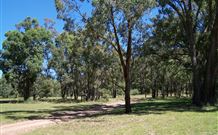Lake Tabourie Holiday Park - thumb 6