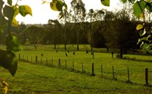 Stone Cottage Mittagong - Accommodation Cooktown