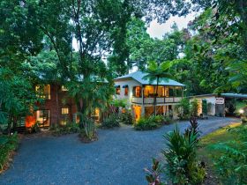 Red Mill House in Daintree - Accommodation Rockhampton