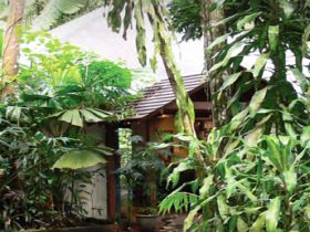 Heritage Lodge and Spa - In the Daintree - Accommodation Kalgoorlie