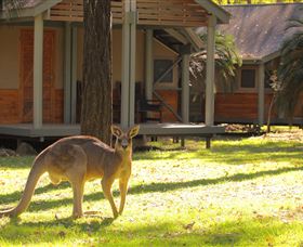 Carnarvon Gorge Wilderness Lodge - Accommodation Sydney 3