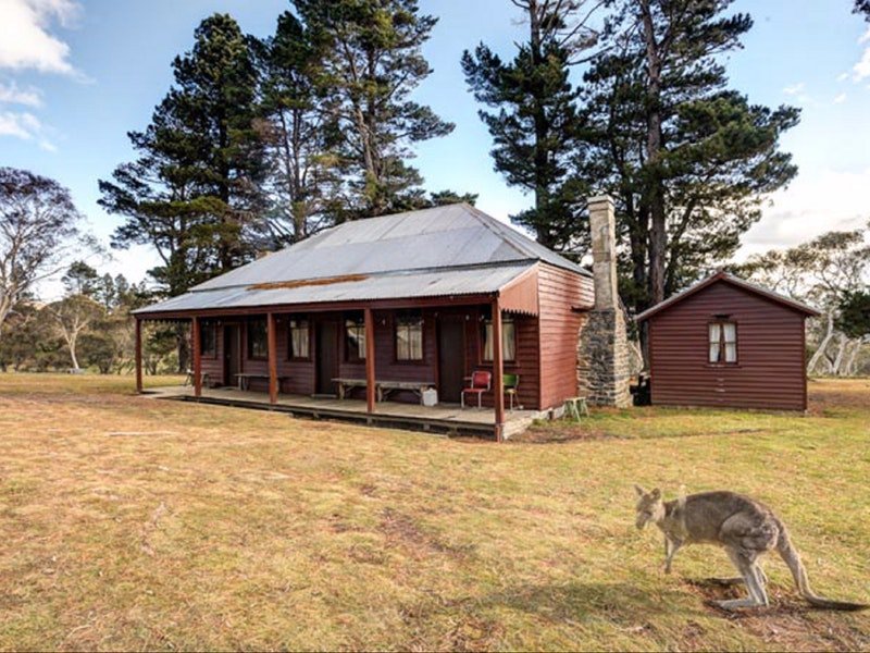 The Pines Cottage - Dalby Accommodation