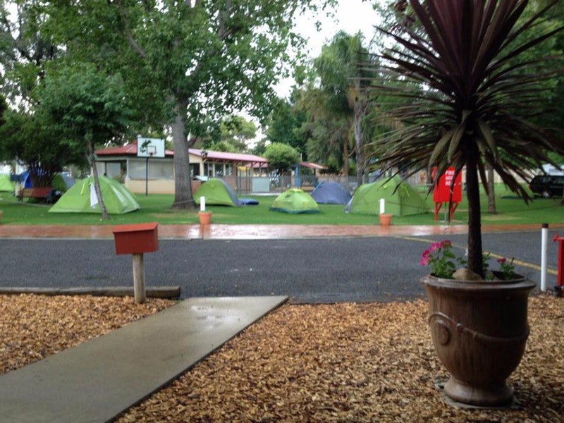 Young Caravan Tourist Park - Whitsundays Accommodation
