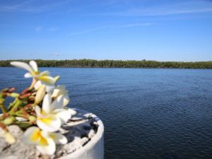 The Fishing Haven Holiday Park - Carnarvon Accommodation