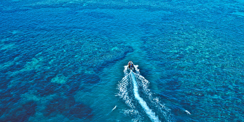 Ocean Free And Ocean Freedom - Cairns Premier Reef And Island Tours - thumb 1