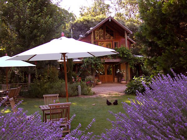 Lavender Hue - St Kilda Accommodation