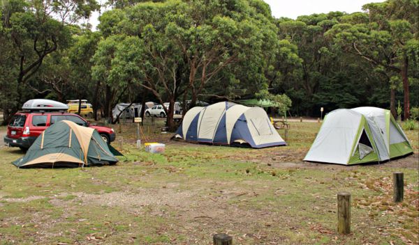 Pretty Beach Campground Murramarang National Park - Accommodation Sydney