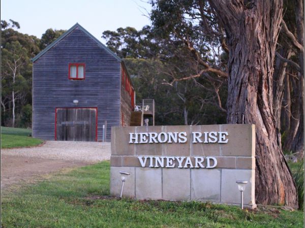 Herons Rise Vineyard Accommodation - thumb 6
