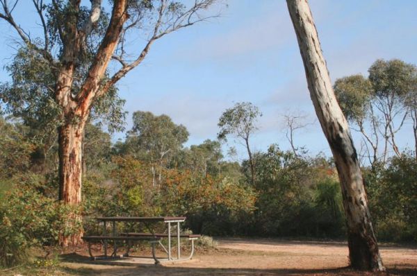 Drummonds Camp at Avon Valley National Park - Accommodation Directory