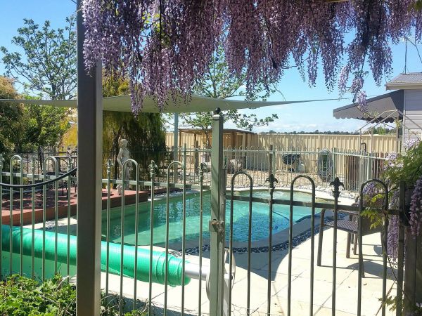 Must Love Dogs BB and Self-Contained Cottage - Accommodation in Bendigo