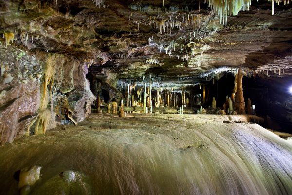 Wilderness Retreats Buchan Caves Reserve - thumb 7