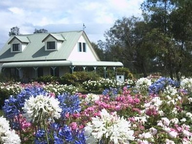 Emmas Cottage Vineyard - Wagga Wagga Accommodation