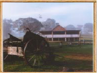 Megalong Valley Farm - Dalby Accommodation