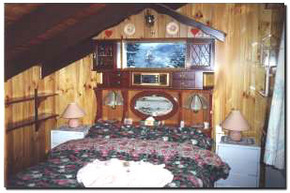 Karelia Alpine Lodge - Lismore Accommodation 2