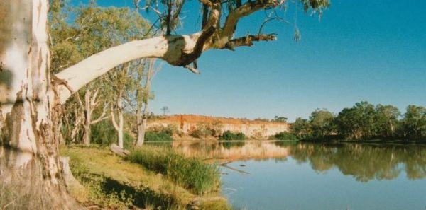 Border Cliffs River Retreat - Accommodation Australia
