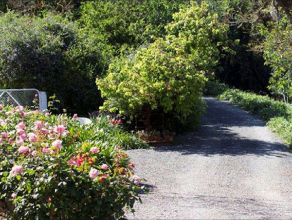 Brown's House Bed & Breakfast - Nambucca Heads Accommodation 3