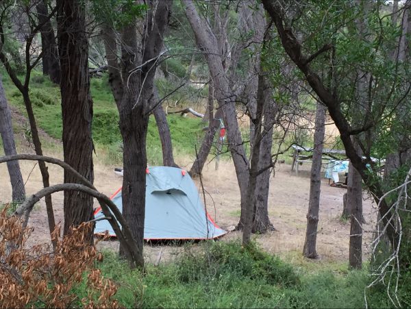 Allports Beach Camping Ground - Nambucca Heads Accommodation 5
