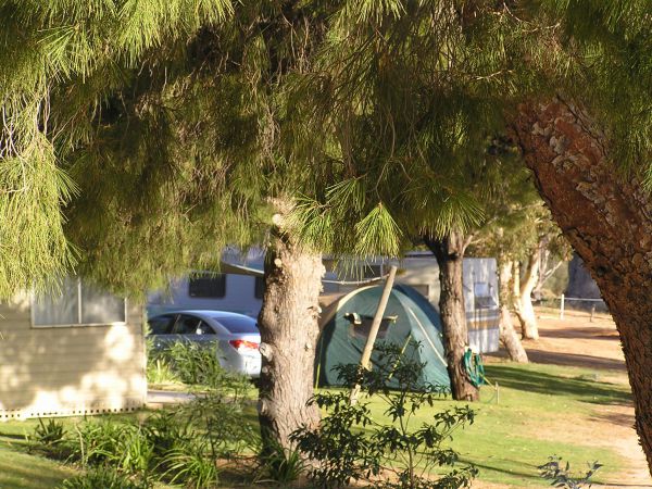 Barmera North Lake Caravan Park - Accommodation in Brisbane