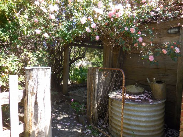 Bunjil Farm - Accommodation Melbourne 7