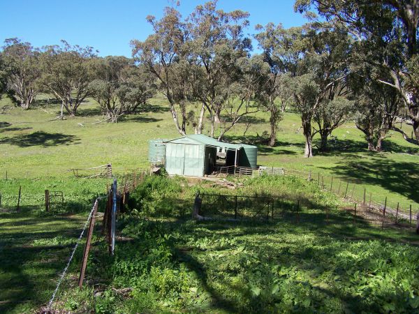 Catninga Mountain Camp Hut - Accommodation Port Macquarie 7