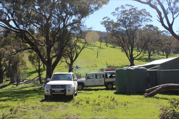 Catninga Mountain Camp Hut - Accommodation Port Macquarie 8