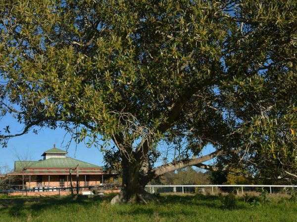 Cairnsmore Bed And Breakfast - Nambucca Heads Accommodation 7