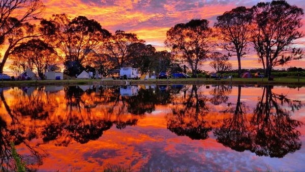 Coonawarra Bush Holiday Park - Accommodation Tasmania