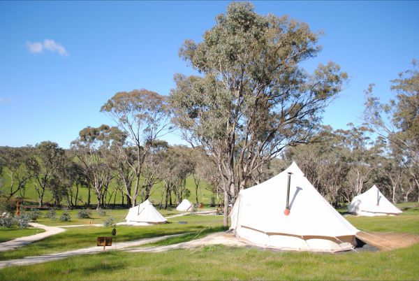 Cosy Tents - Lismore Accommodation 5